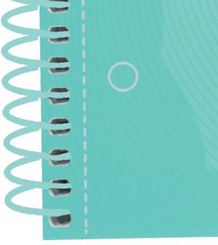 OXFORD Spiralbuch A4+ 400117274 kariert 5mm past.mint 80 Blatt