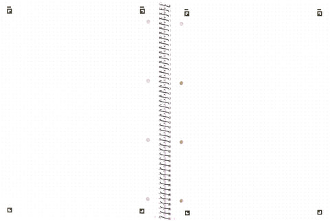 OXFORD Collegeblock SCRIBZEE A4+ 400132378 dotted, grünblau 80 Blatt