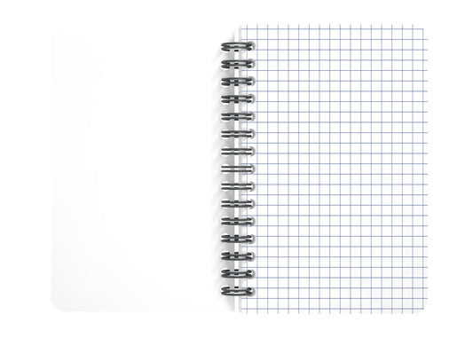 OXFORD My Rec'Up Spiralheft 400155803 A6, kariert 90 Blatt, ass.