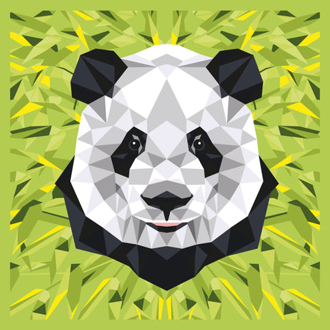 ENJOY ART PEINTURE N° 30X30CM PANDA