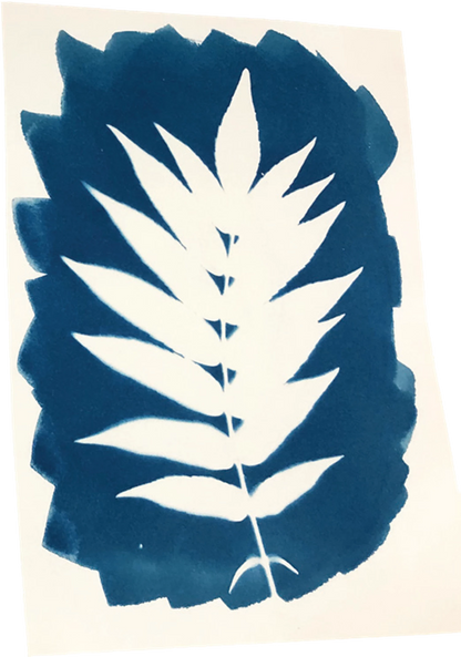 ENJOY ART KIT CYANOTYPE