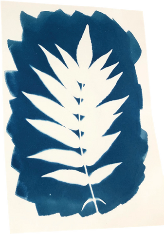 ENJOY ART KIT CYANOTYPE