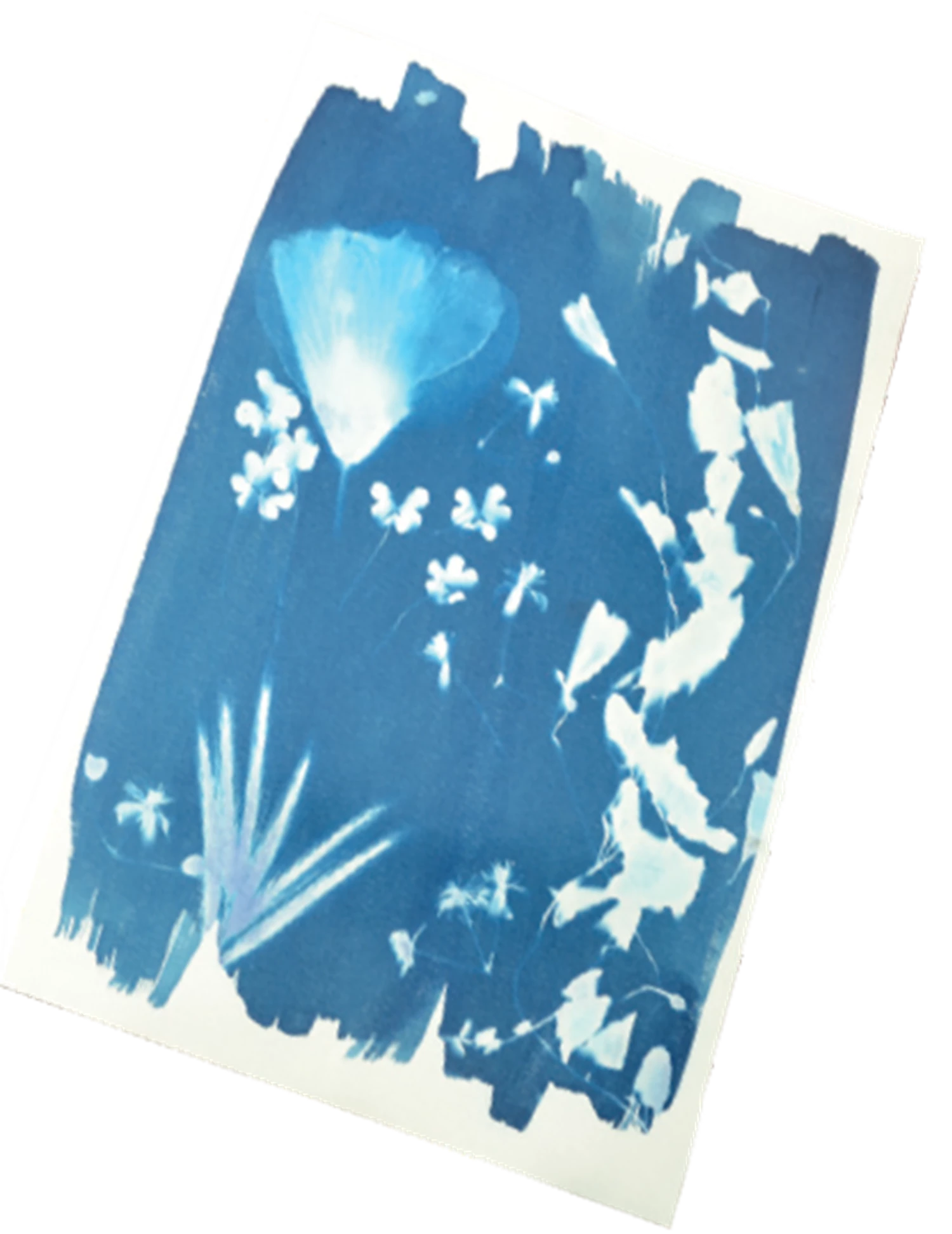 ENJOY ART KIT CYANOTYPE