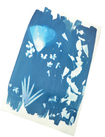 ENJOY ART KIT CYANOTYPE