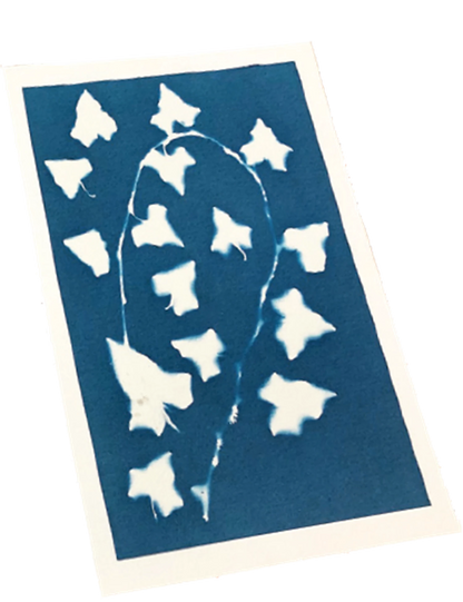 ENJOY ART KIT CYANOTYPE