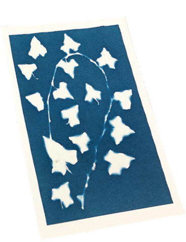 ENJOY ART KIT CYANOTYPE