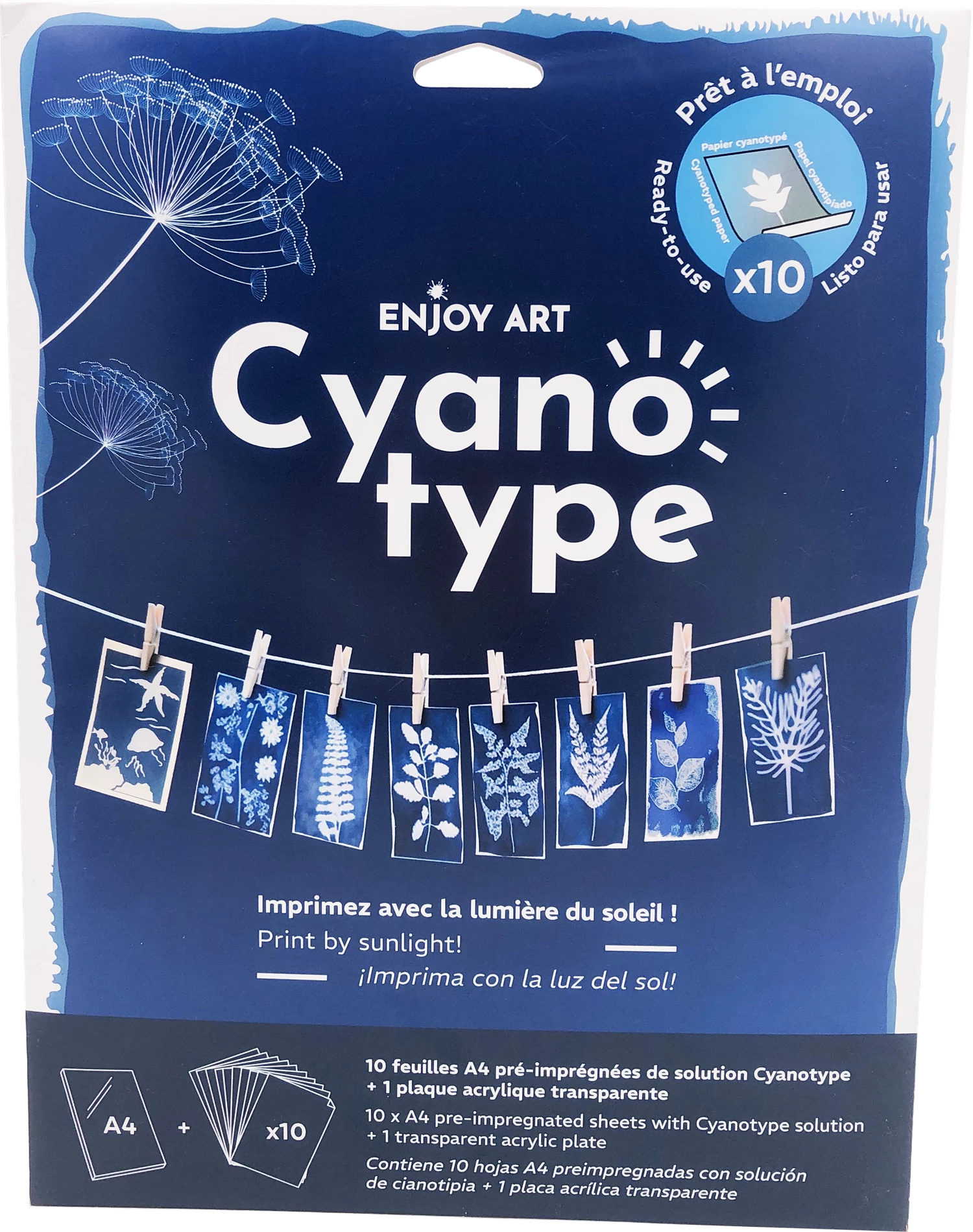 ENJOY ART KIT 10 FEUILLES CYANOTYPE A4 + 1 PLAQUE A4