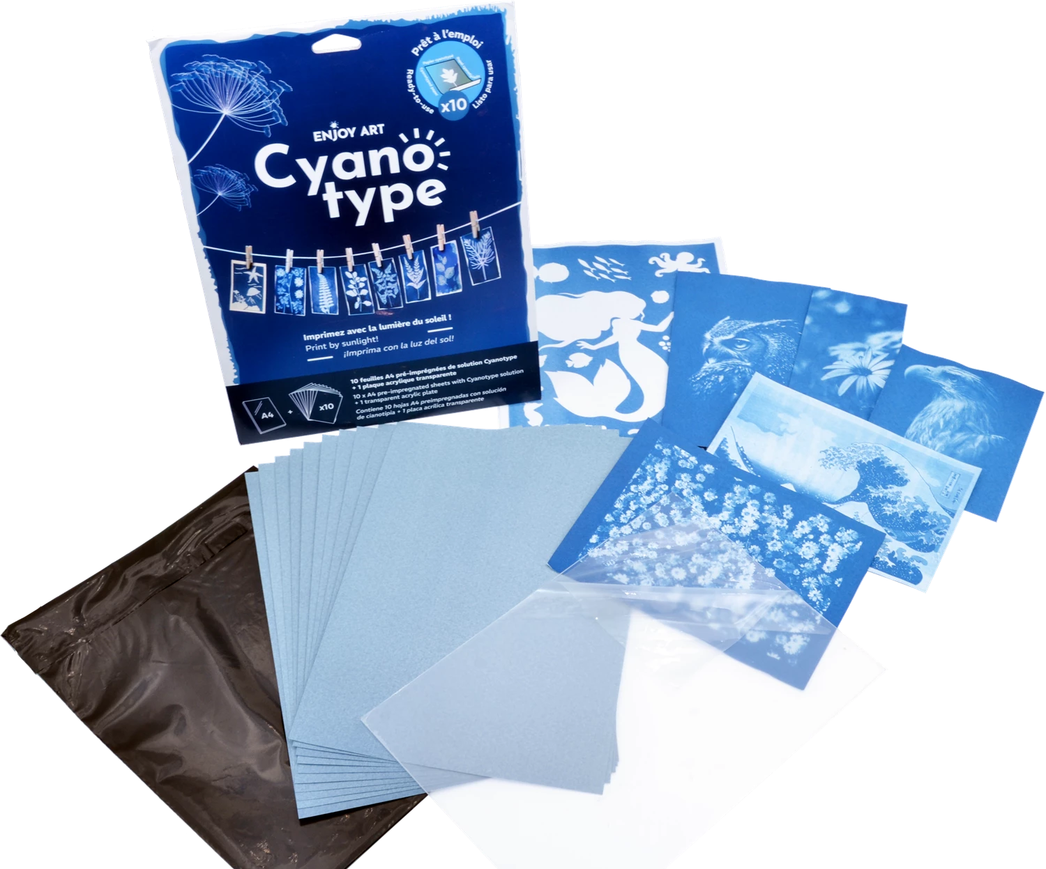 ENJOY ART KIT 10 FEUILLES CYANOTYPE A4 + 1 PLAQUE A4