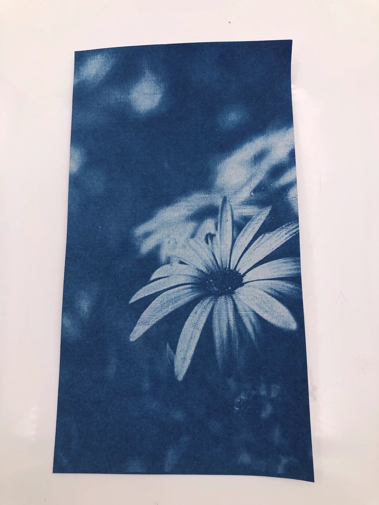 ENJOY ART KIT 10 FEUILLES CYANOTYPE A4 + 1 PLAQUE A4