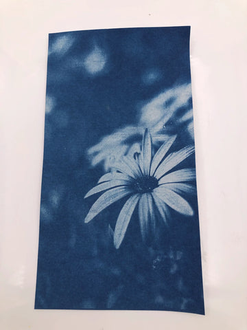 ENJOY ART KIT 10 FEUILLES CYANOTYPE A4 + 1 PLAQUE A4