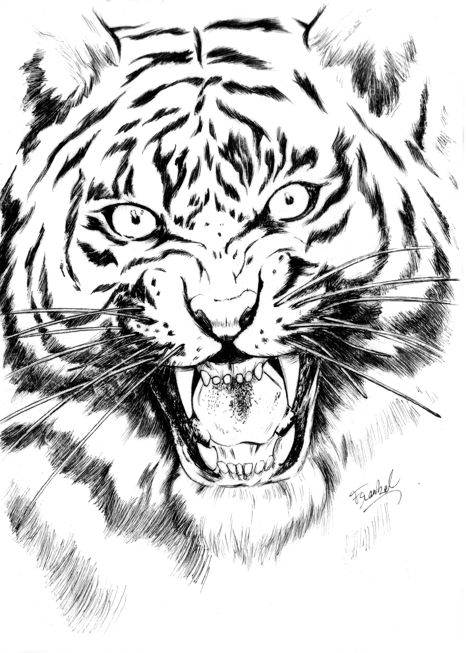 GRAPH'IT POCHETTE DE 4 FINE LINERS NOIR (003 0.1 0.3 0.5)