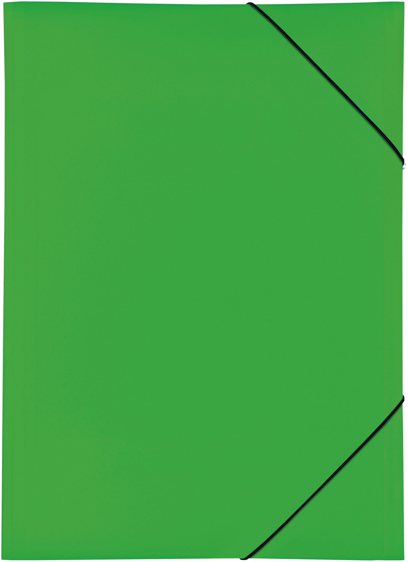 PAGNA Gummibandmappe Trend A3 21638-05 grün 3 Klappen