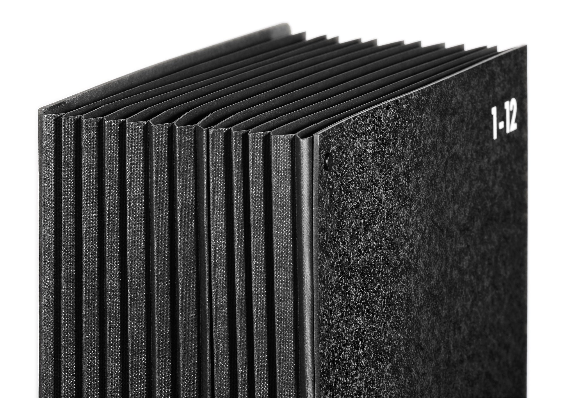 PAGNA Pultmappe A4 24121-04 schwarz 1-12/Jan-Dez