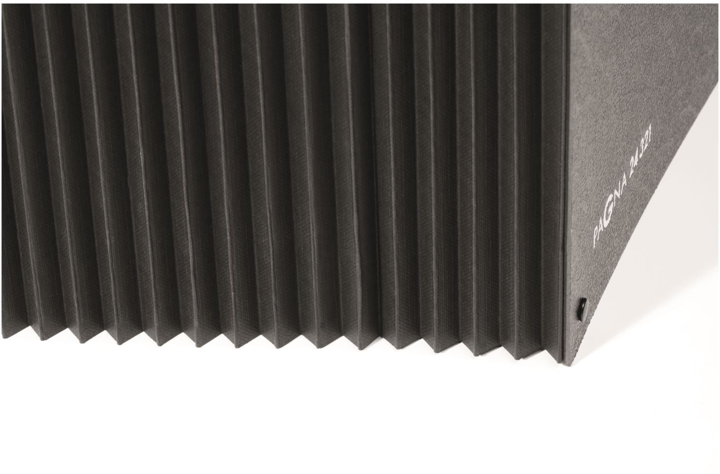 PAGNA Vorordner A4 24321/04 schwarz 1-31