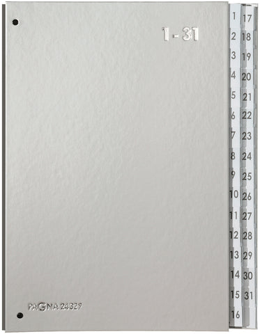 PAGNA Pultordner Color A4 24329-14 silber 1-31