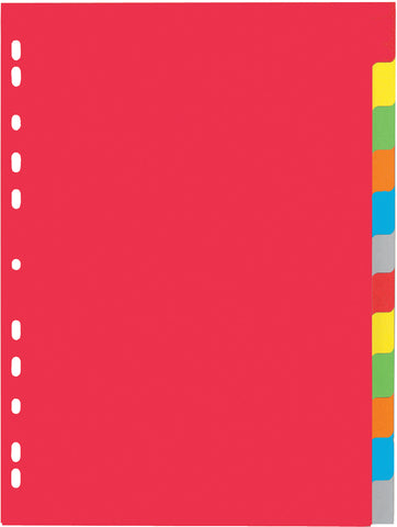 PAGNA Register Karton A4 31121-20 farbig 12-teilig