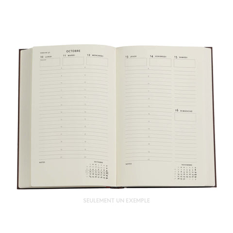 PAPERBLANKS Agenda Taubengrau Maxi 25/26 DD0539-2 1W/2S 18M DE VER HC 13.5x21cm