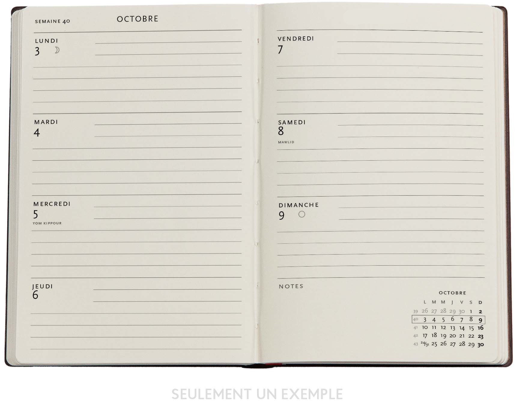 PAPERBLANKS Agenda Natsu Midi 25/26 DF0869-0 1W/2S 13M FR HOR HC 13x18cm