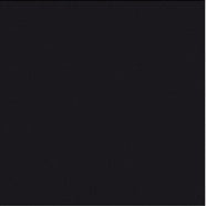 PELIKAN Tusche 10ml 201665 schwarz