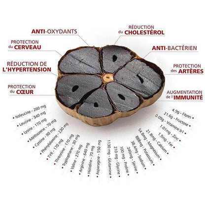 Fool Flavour Factory - Elixir Trois Noirs - Premium Black Garlic, Elderberry, and Black Cumin Honey, 200g