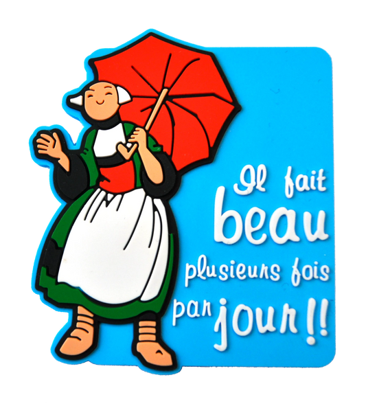 MAGNET BECASSINE IL FAIT BEAU