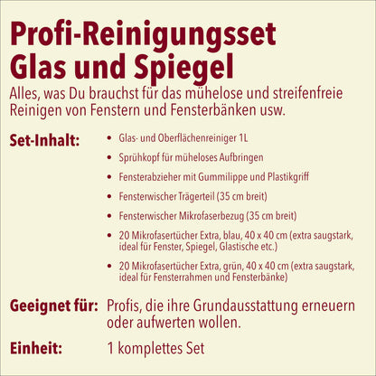 Profi-Reinigungsset Glas und Spiegel