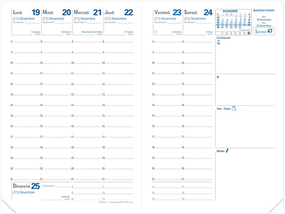QUO-VADIS Ersatzinhalt Affaires 2025 004005Q 1W/2S Impala/Club 10x15cm