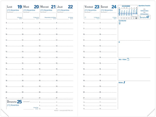 QUO-VADIS Ersatzinhalt Affaires 2025 004005Q 1W/2S Impala/Club 10x15cm