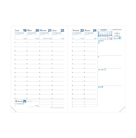 QUO-VADIS Ersatzinhalt+ Affaires 2025 004015Q 1W/2S Impala/Club 10x15cm