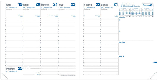 QUO-VADIS Ersatzinhalt+ Executif 2025 014015Q 1W/2S Impala/Club 16x16cm