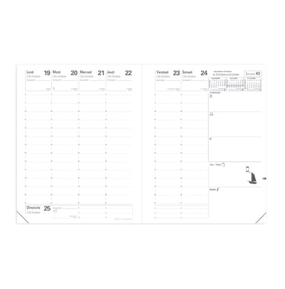 QUO-VADIS Ersatzinhalt Presint 2025 016007Q 1W/2S Impala/Club 21x27cm