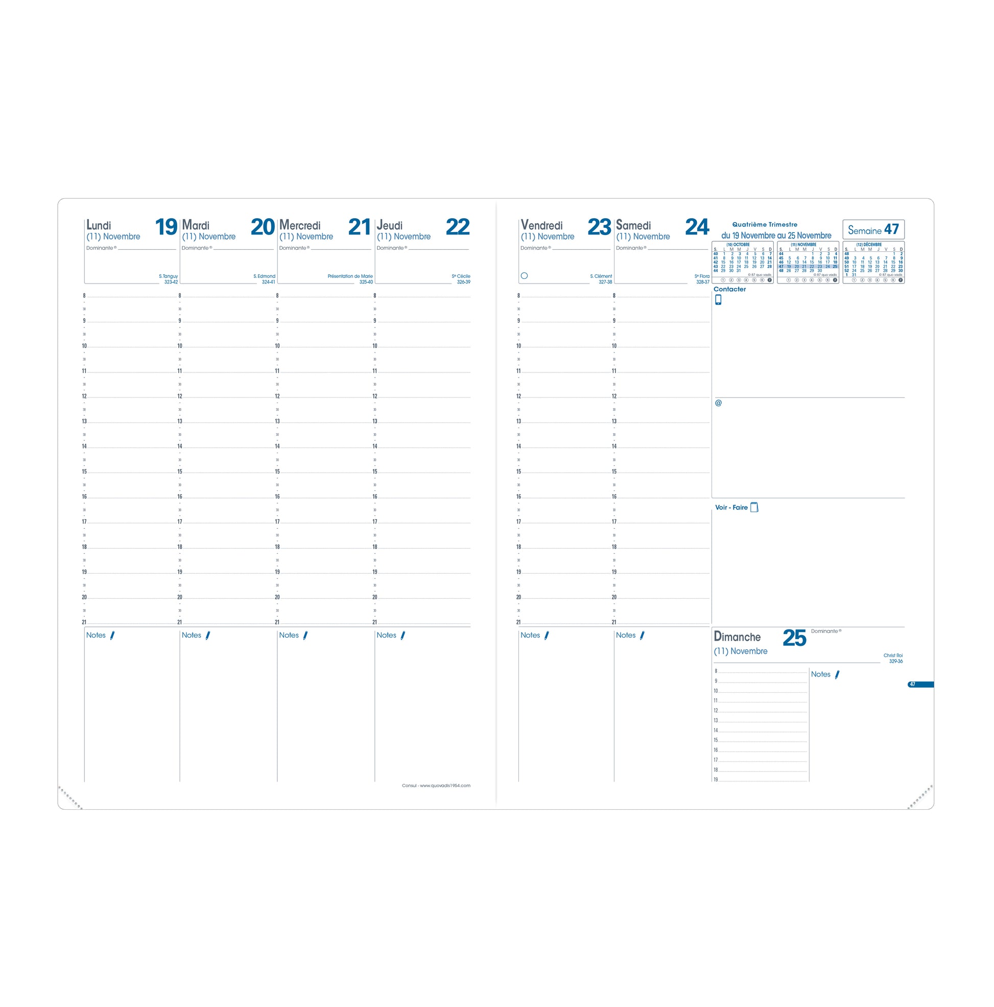 QUO-VADIS Ersatzinhalt+ Consul 2025 024014Q 1W/2S Impala/Club 21x29.7cm