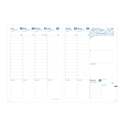 QUO-VADIS Ersatzinhalt+ Consul 2025 024014Q 1W/2S Impala/Club 21x29.7cm
