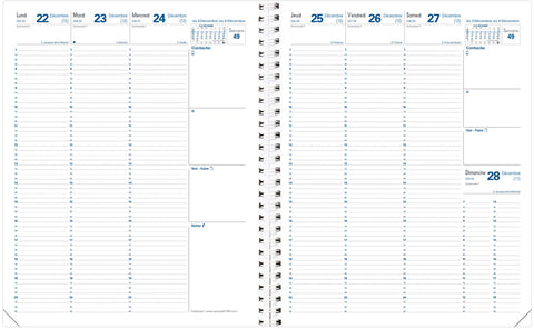QUO-VADIS Ersatzinhalt Eurequart 2025 026004Q 1W/2S Impala 24x30cm