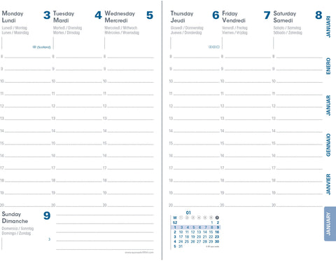 QUO-VADIS Universitaire R Equology 25/26 028818Q 1W/2S 13M rosa ML 10x15cm