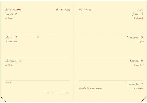 QUO-VADIS Agenda Soho Miniweek 2025 044294Q 1W/2S schwarz FR 7x10cm