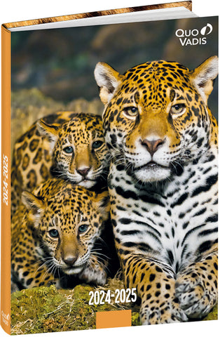 QUO-VADIS Eurotextagenda Walfisch 25/26 1282523Q 1T/1S 12M ML 12x17cm