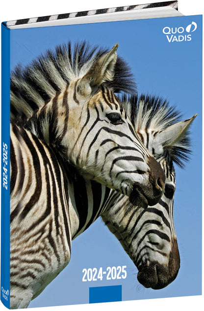 QUO-VADIS Eurotextagenda Schildkr. 25/26 1282524Q 1T/1S 12M ML 12x17cm