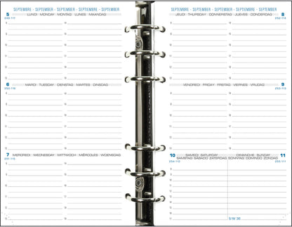 QUO-VADIS Exatime 17 Inhalt 25/26 18240E 1W/2S 16M ML 9x17cm