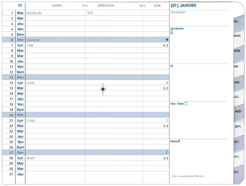 QUO-VADIS Agenda Impala Plain 2025 195034Q 1M/2S schwarz FR 10x15cm