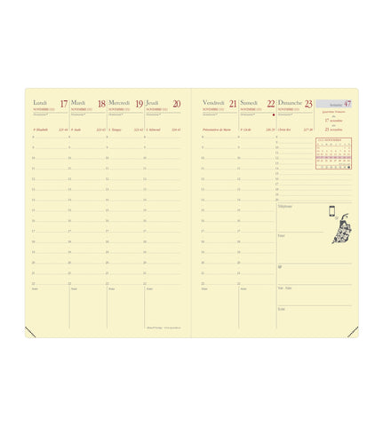 QUO-VADIS Ersatzinhalt Affa.Pres. 2025 285023Q 1W/2S Impala/Soho/Silk 10x15cm