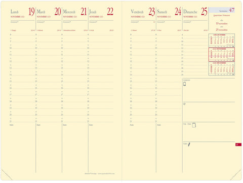 QUO-VADIS Agenda Soho Mini.Pres. 2025 286547Q 1W/2S stahlblau FR 16x24cm