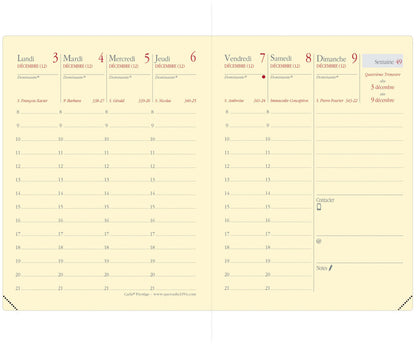 QUO-VADIS Ersatzinhalt Carla 2025 368014Q 1W/2S Soho 8x10.5cm