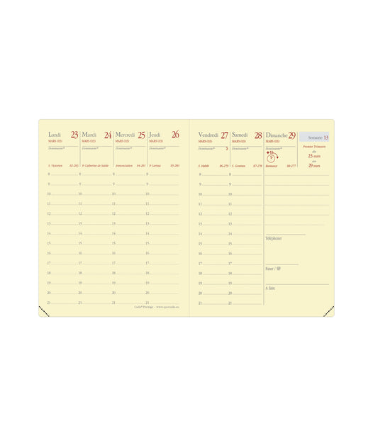 QUO-VADIS Ersatzinhalt Carla 2025 368014Q 1W/2S Soho 8x10.5cm