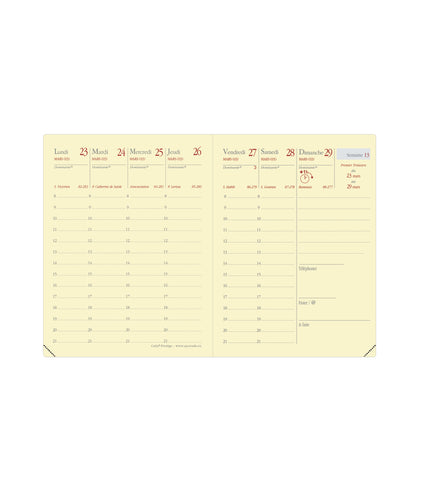 QUO-VADIS Ersatzinhalt Carla 2025 368014Q 1W/2S Soho 8x10.5cm