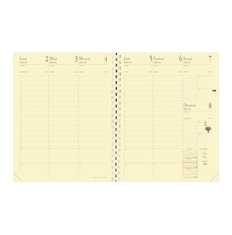 QUO-VADIS Ersatzinhalt Manager 2025 371014Q 1W/2S, 21x27cm