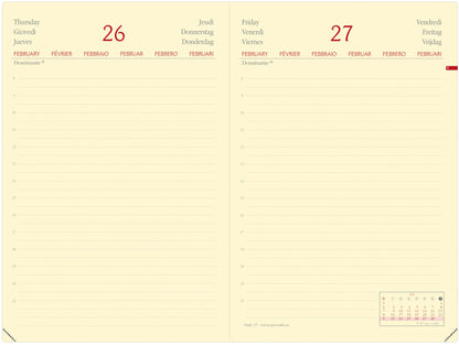 QUO-VADIS Agenda Daily 17 Pr. Silk 2025 376023Q 1T/1S türkis ML 12x17cm