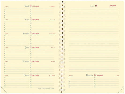 QUO-VADIS Agenda Soho Note15S 2025 679047Q 1W/2S schwarz FR 10x15cm