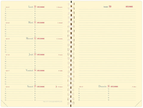 QUO-VADIS Agenda Soho Note15S 2025 679048Q 1W/2S rot FR 10x15cm