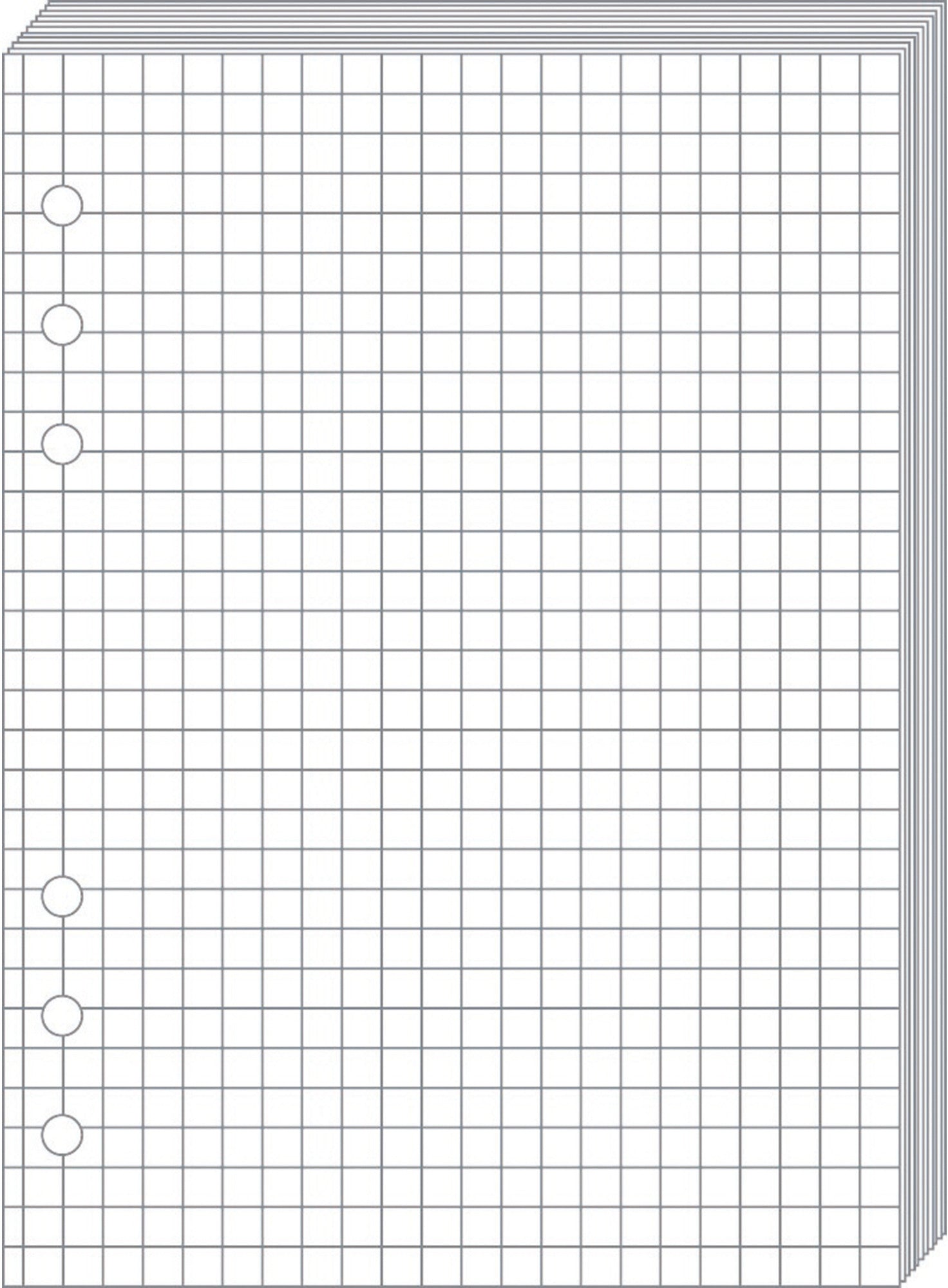 QUO-VADIS Timer21 Planing Notizen 722001Q kariert 15x21cm